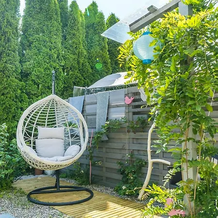 Onyks Проживание в семье *